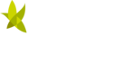 OptiNews